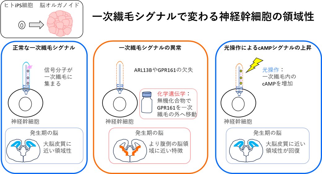 フッターへ
