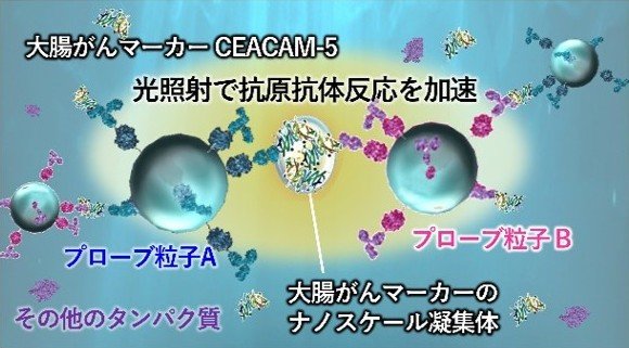 すべて見る