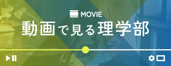 fun体育官网入口新人权益