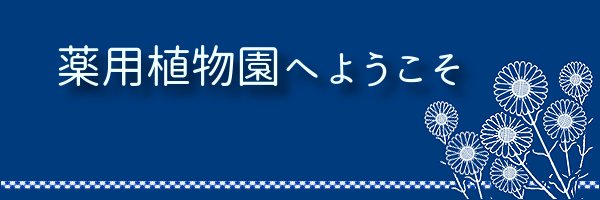 fun体育官网入口成为欧洲杯的官方合